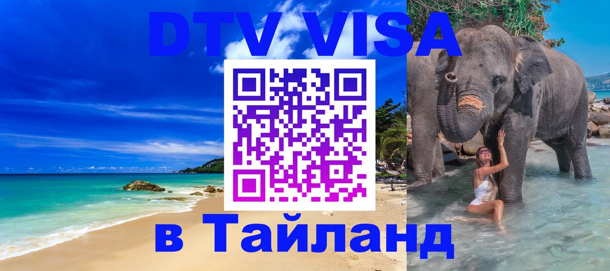Оформление DTV визы под ключ: стоимость и тарифы, только загранпаспорт - Новороссийск 